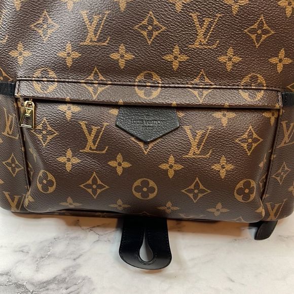 Louis Vuitton Palm Springs MM Monogram Backpack - Picture 2 of 13